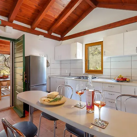 House Irena Semesterbostad Postira